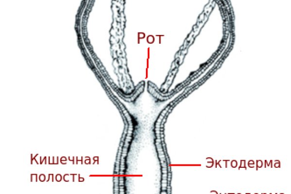 Блэк спрут отзывы