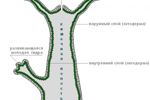 Логин пароль blacksprut bs2web top