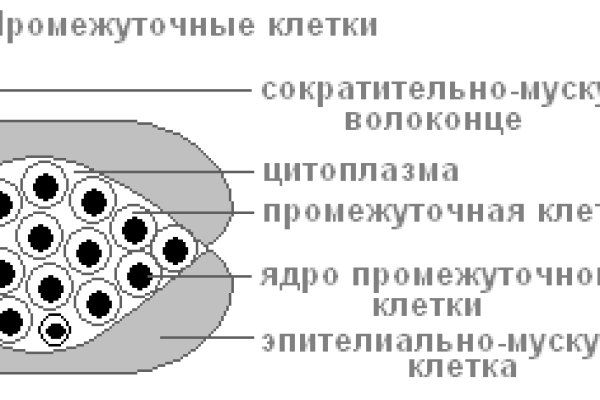 Блэк спрут где взять код аккаунта