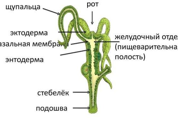 Telegra blacksprut