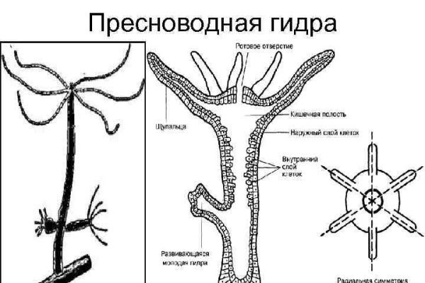 Блэкспрут магазины