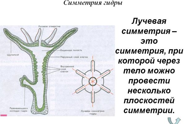 Блэкспрут вход