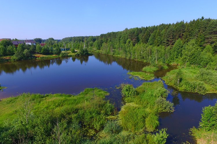 Ссылка на сайт оригинальная сайт блэк спрут